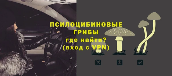 ALPHA PVP Белокуриха