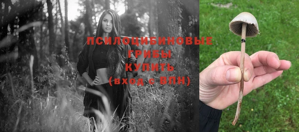 ALPHA PVP Белокуриха
