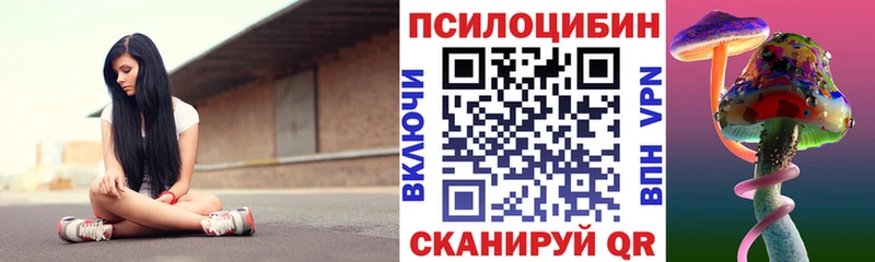 Купить где  Вилючинск  Галлюциногенные грибы Psilocybine cubensis 