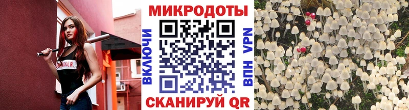 Псилоцибиновые грибы GOLDEN TEACHER Вилючинск